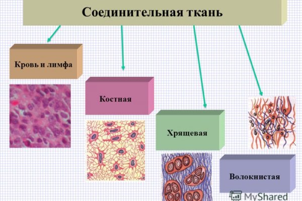 Ссылка на kraken в торе