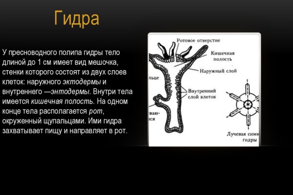 Kraken вы забанены сколько ждать