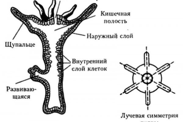 Мега онион магазин