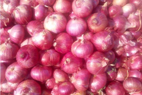 Кракена onion com